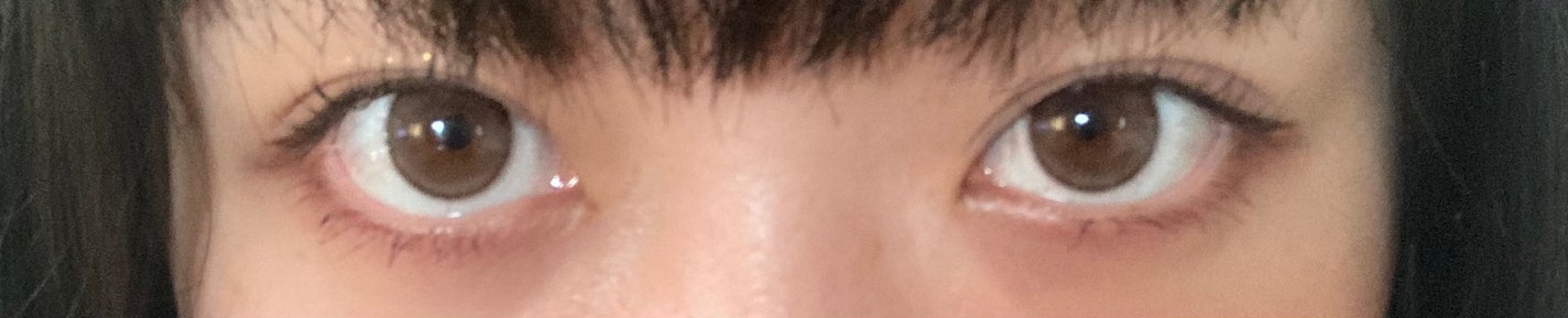 エバーカラーワンデー ナチュラル/エバーカラー/ワンデー(1DAY)カラコンを使ったクチコミ(2枚目)