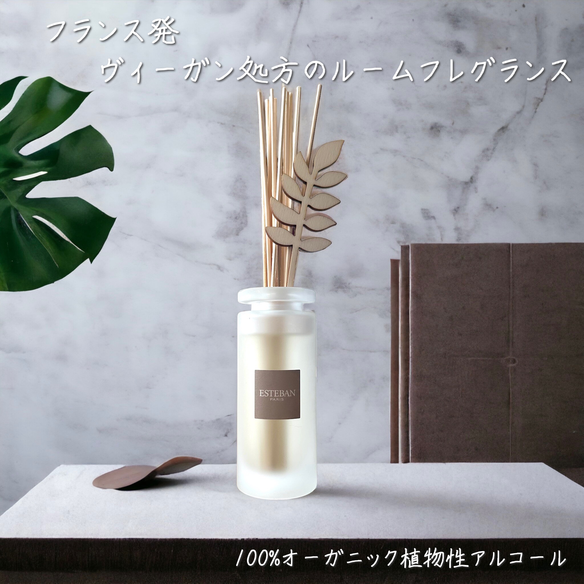 インテリアガーデン ナチュール ラタンブーケ ディフューザー /ESTEBAN/ルームフレグランスを使ったクチコミ（1枚目）