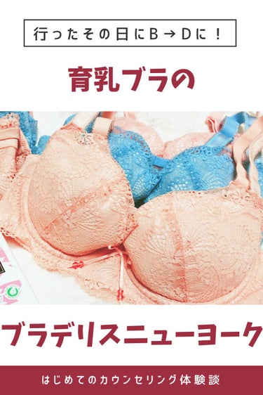 行ったその日にB→Dカップにサイズアップした！

育乳ブラを『ブラデリスニューヨーク』で買ってきました♡


＜ブラデリスニューヨークとは？＞
補正ランジェリーをメインで取り扱っている下着ブ