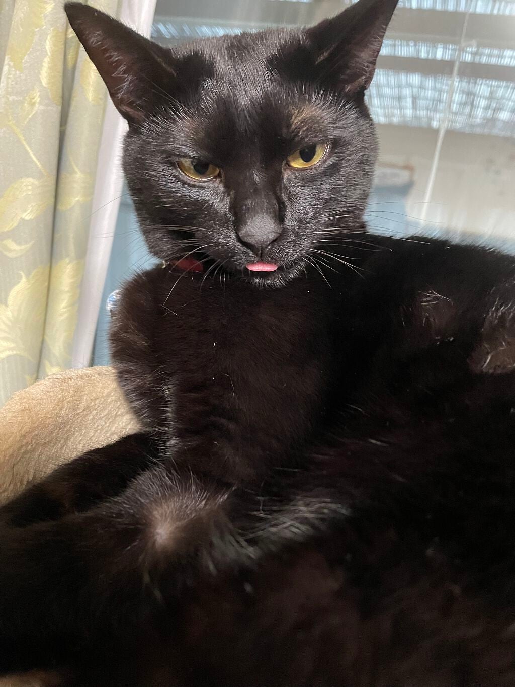 ððððð on LIPS ã..ãïŒ1æç®ïŒ