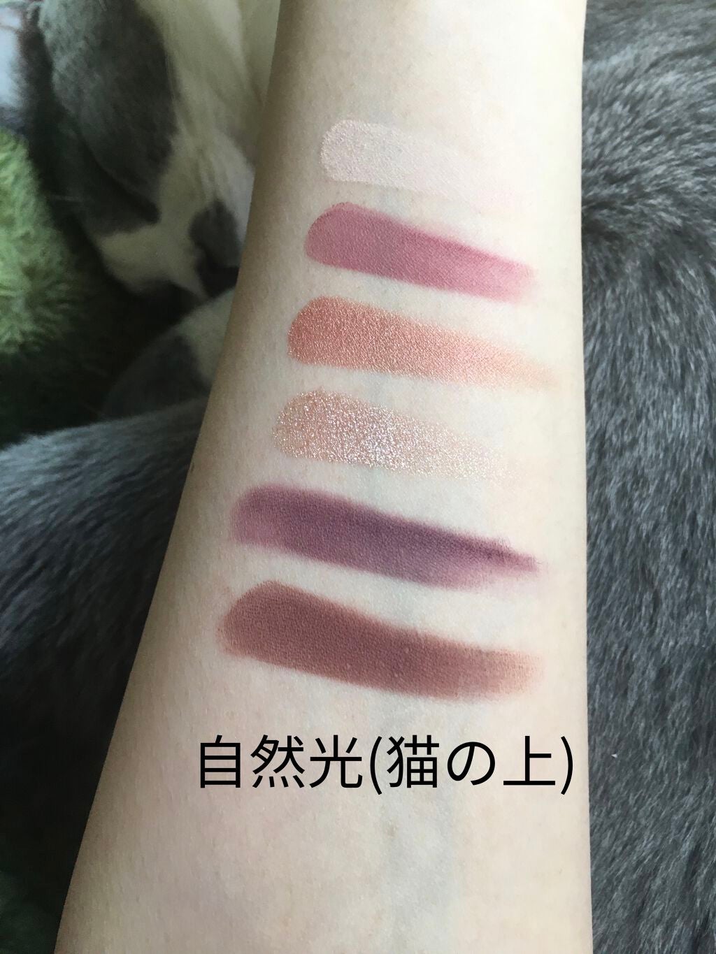 アイカラーパレット/heme/アイシャドウパレットを使ったクチコミ(5枚目)