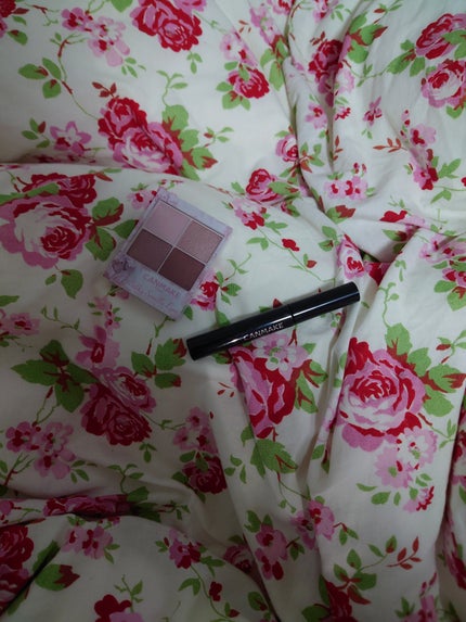 クイックラッシュカーラー/キャンメイク/マスカラ下地を使ったクチコミ(1枚目)