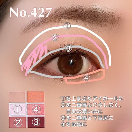 プロアイシャドウパレットセシル/CELEFIT/アイシャドウパレットを使ったクチコミ(5枚目)