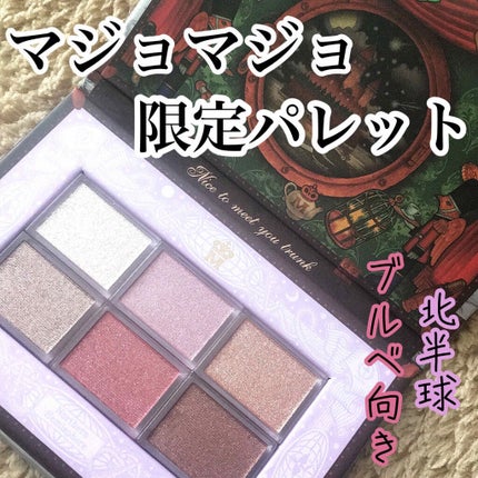 ナイストゥミーチュートランク/MAJOLICA MAJORCA/アイシャドウパレットを使ったクチコミ(1枚目)
