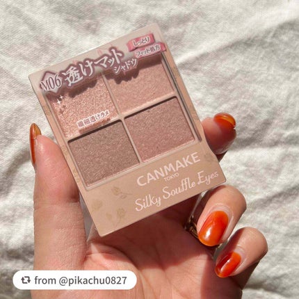 シルキースフレアイズ(マットタイプ)/キャンメイク/アイシャドウパレットを使ったクチコミ(5枚目)