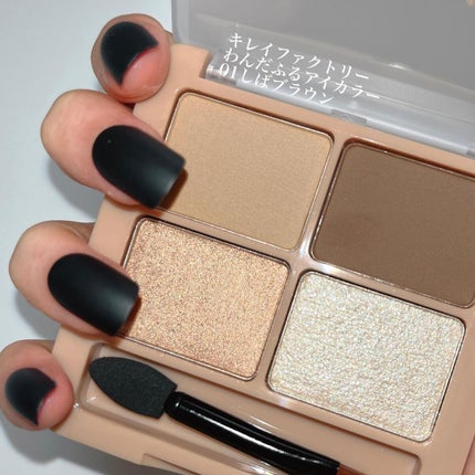 わんだふるアイカラー/KIREI FACTORY/アイシャドウパレットを使ったクチコミ(2枚目)