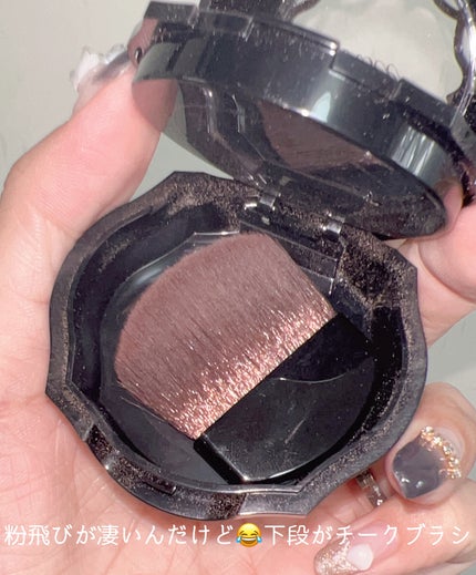 フォギーオンチークス N/Visée/パウダーチークを使ったクチコミ(4枚目)