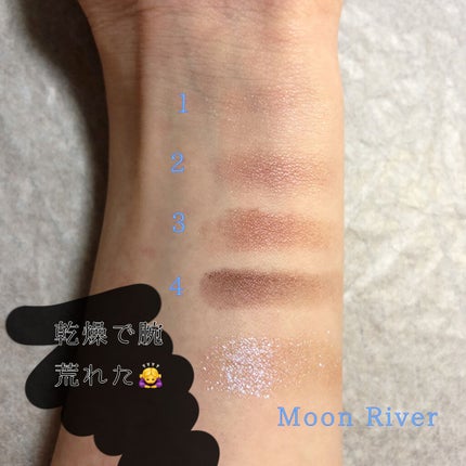 スキニーリッチシャドウ/excel/アイシャドウパレットを使ったクチコミ(5枚目)