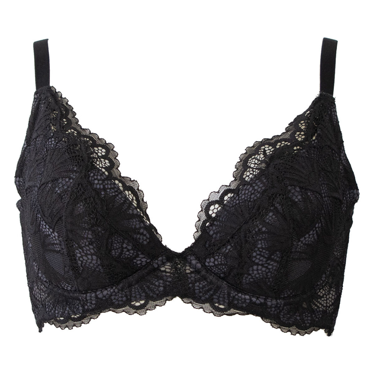 タニマドンナ ブラック