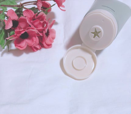 ヴィーガンパッククレンザーチューブ/WHIPPED/洗顔フォームを使ったクチコミ(2枚目)