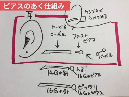 ðŠ on LIPS ãâ¥ïžãã¢ã¹ã®ã話â¥ïžçããã¯ããã¢ã¹ç©ºããŠãŸããïŒè³é£Ÿãã奜ã..ãïŒ4æç®ïŒ
