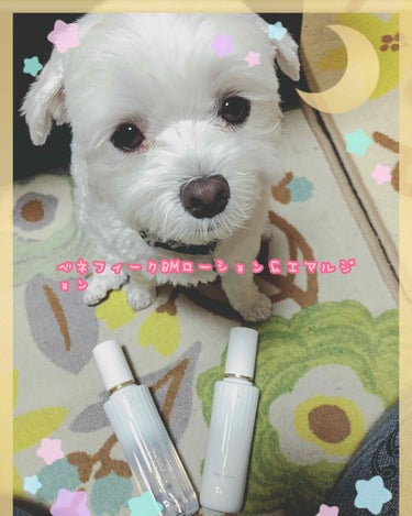 
お疲れ様です✨🐶

そしてひさひざの投稿にﾄﾞｷﾄﾞｷ🥰💕

今回はベネフィークのBMシリーズのローション＆エマルジョンを紹介したいと思います🤗

スキンケアでお悩みの、そこの貴方😊
資生堂のベネフィ