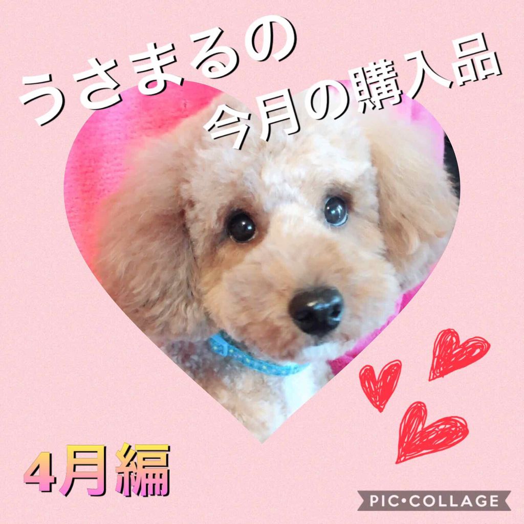 ザ・セム CPポアプライマー/the SAEM/化粧下地を使ったクチコミ（1枚目）