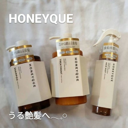 ディープリペア 2WAY ヘアミスト モイスト/ハニーク/ヘアミストを使ったクチコミ(1枚目)