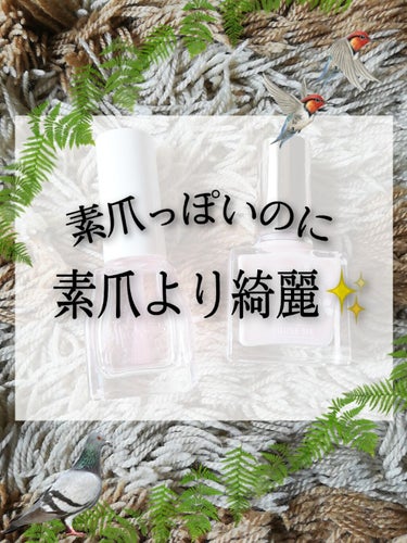 クイックケアコート/ettusais/ネイルオイル・トリートメントを使ったクチコミ（1枚目）