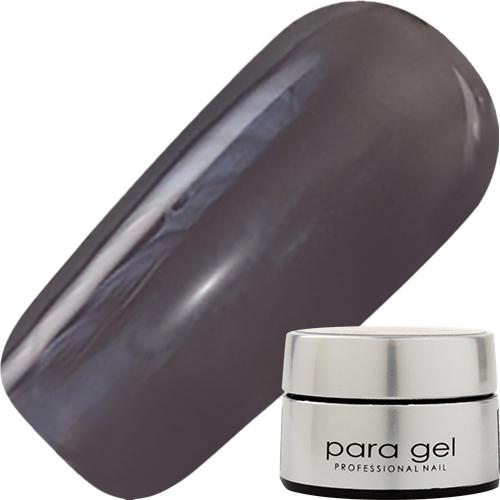 パラジェル C006 ストームグレー