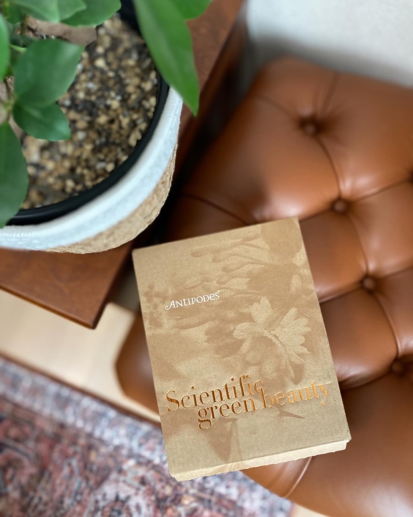 グローリー トリプルアクション Cトナー/Antipodes/化粧水を使ったクチコミ(7枚目)