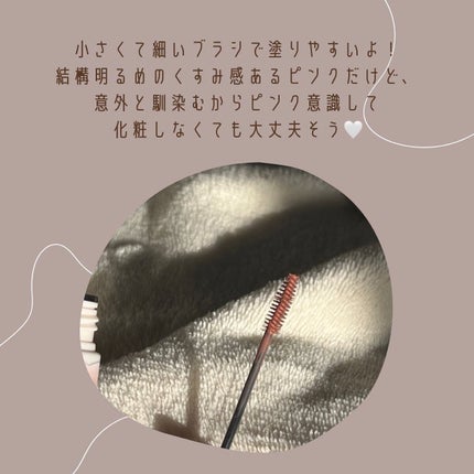 スマートミニアイブロウカラー/キャンメイク/眉マスカラを使ったクチコミ(2枚目)