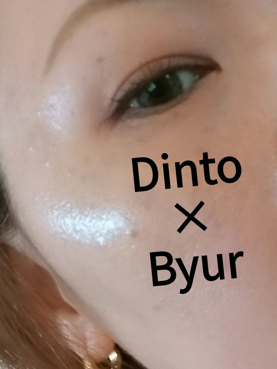 ブラーフィニシュシャドウパレット/Dinto/アイシャドウパレットを使ったクチコミ（2枚目）