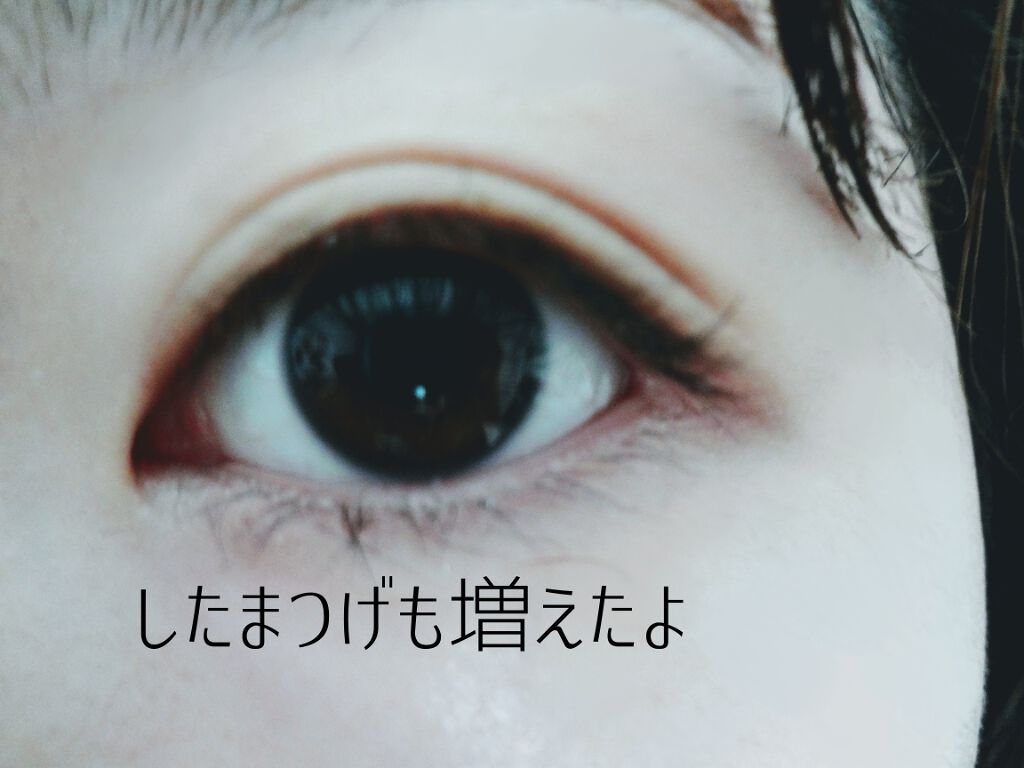 ラッシュセラムカーラー/MAJOLICA MAJORCA/マスカラ下地を使ったクチコミ(2枚目)