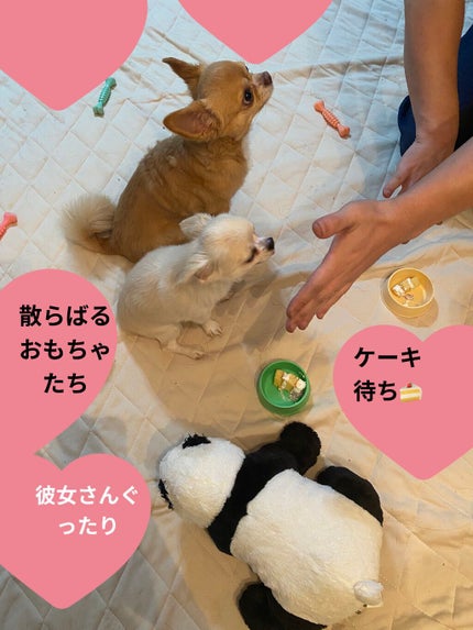 インテンスアイズ クリーミーアイシャドウスティック/DOLCE&GABBANA BEAUTY/スティックアイシャドウを使ったクチコミ(8枚目)