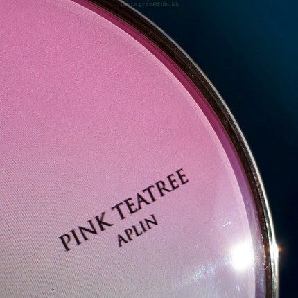 ピンクティーツリーカバークッション/APLIN/クッションファンデーションを使ったクチコミ(2枚目)