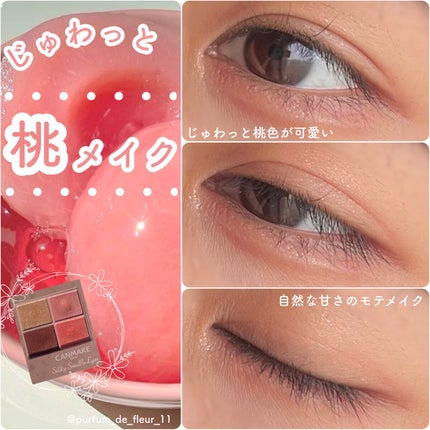 シルキースフレアイズ(マットタイプ)/キャンメイク/アイシャドウパレットを使ったクチコミ(1枚目)