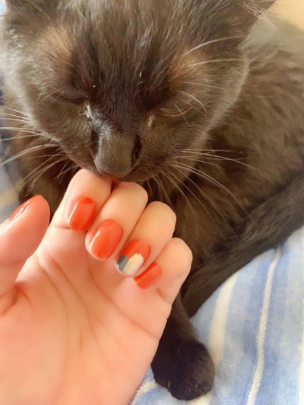 カラフルネイルズ/キャンメイク/マニキュアを使ったクチコミ(8枚目)