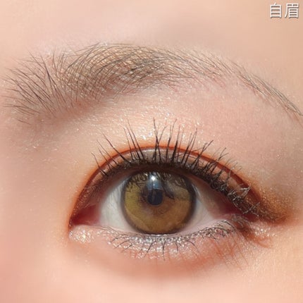 ロングステイ アイブロウパウダー&ペンシル/ブリリアージュ/アイブロウペンシルを使ったクチコミ(6枚目)