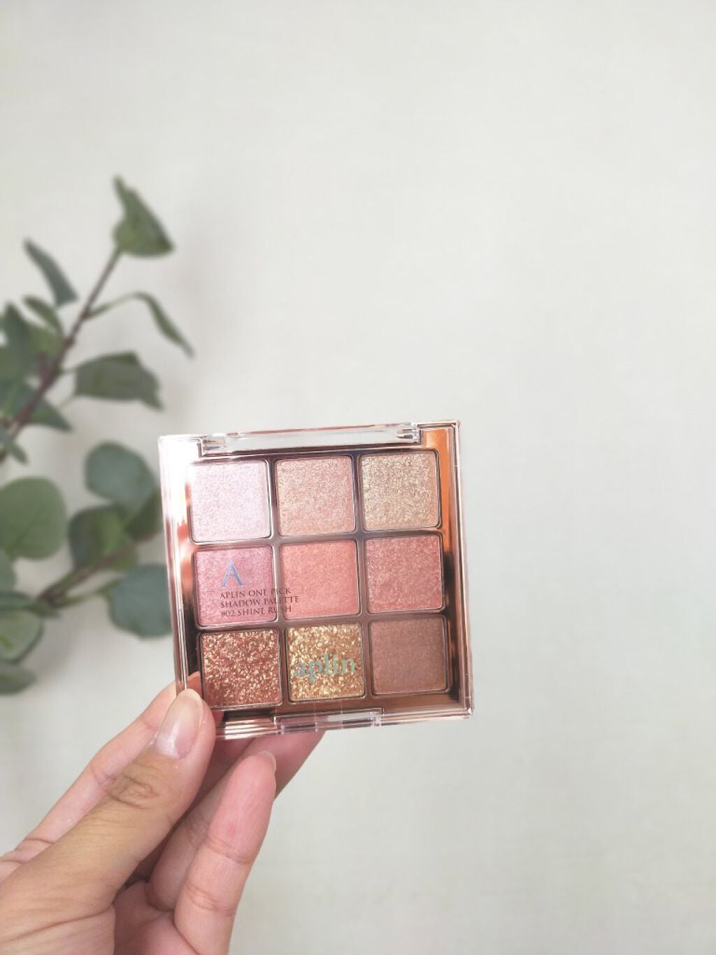 ワンピックアイシャドウパレット/APLIN/アイシャドウパレットを使ったクチコミ(1枚目)