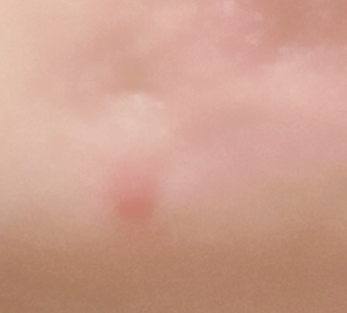 ファーミング EX ナイト クリーム SP  オールスキン/CLARINS/フェイスクリームを使ったクチコミ（2枚目）