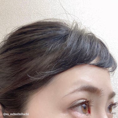 シルエット ソフトスプレー/シュワルツコフ プロフェッショナル/ヘアスプレー・ヘアミストを使ったクチコミ（2枚目）