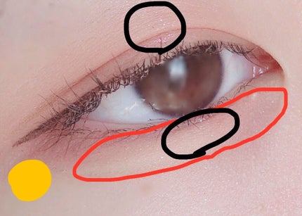 クイックラッシュカーラー/キャンメイク/マスカラ下地を使ったクチコミ(7枚目)