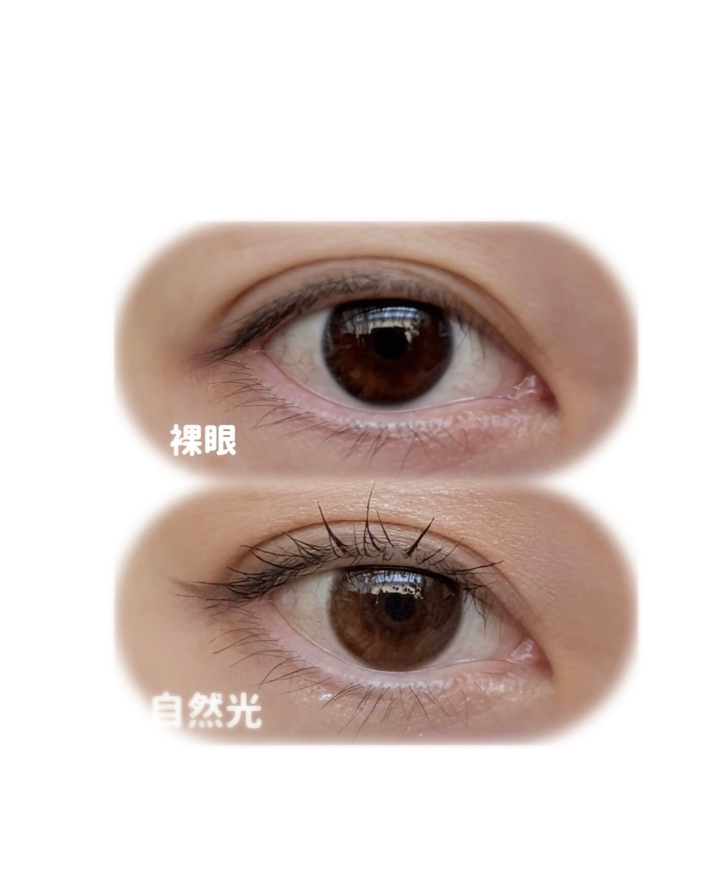 CLASSI OUR/Classilens/1ヶ月(1MONTH)カラコンを使ったクチコミ(2枚目)