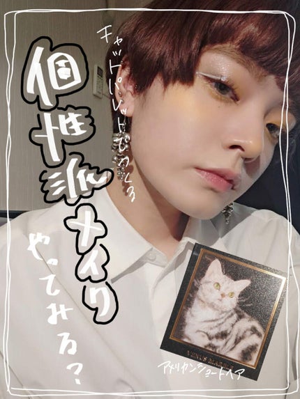 Venus Marble アイシャドウキャットシリーズ/Venus Marble/アイシャドウパレットを使ったクチコミ(1枚目)