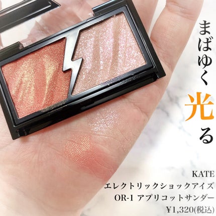 エレクトリックショックアイズ /KATE/アイシャドウパレットを使ったクチコミ(2枚目)