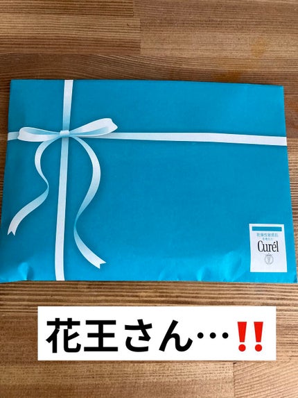 リップケア クリーム/キュレル/リップクリームを使ったクチコミ(1枚目)