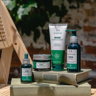 the body shop EDW インテンスクリーム