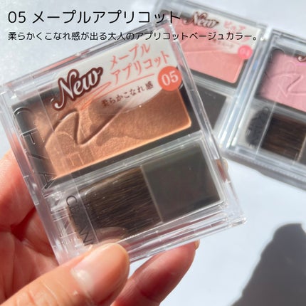 チークブラッシュ/CEZANNE/パウダーチークを使ったクチコミ(5枚目)