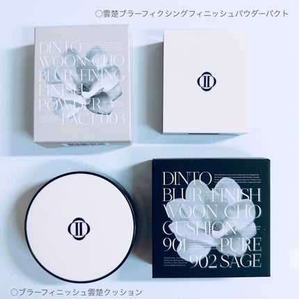 ブラーフィニッシュ雲楚クッション/Dinto/クッションファンデーションを使ったクチコミ(4枚目)