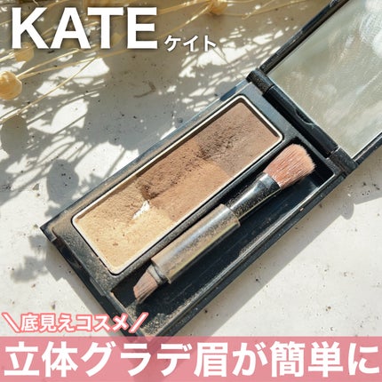 ケイト デザイニングアイブロウ3D/KATE/パウダーアイブロウを使ったクチコミ(1枚目)
