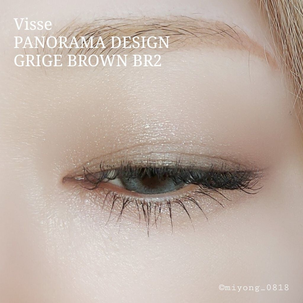 パノラマデザイン アイパレット/Visée/アイシャドウパレットを使ったクチコミ(6枚目)