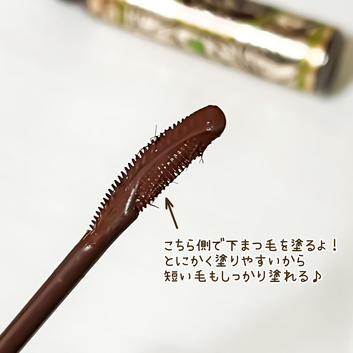 ラッシュエキスパンダー エッジマイスター F BR666/MAJOLICA MAJORCA/マスカラを使ったクチコミ（3枚目）