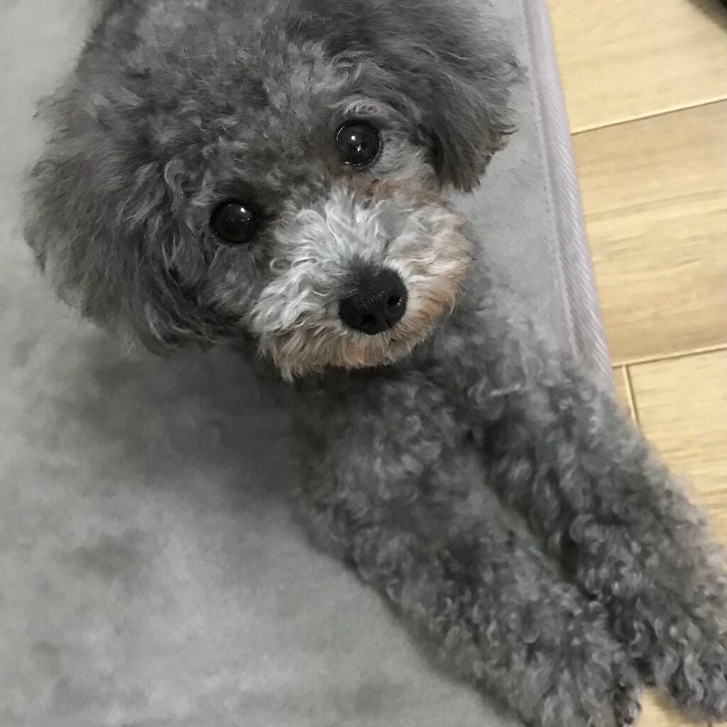 クリア マスカラR/CEZANNE/マスカラ下地を使ったクチコミ(4枚目)