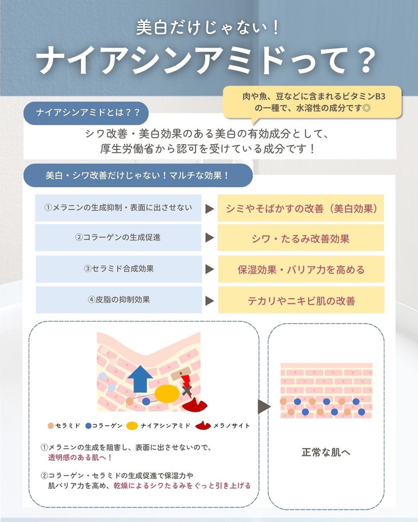 らな ♡ 韓国スキンケア / 韓国コスメ on LIPS 「←韓国スキンケアオタク🤍夏にピッタリなナイアシンアミドのセラ..」(4枚目)