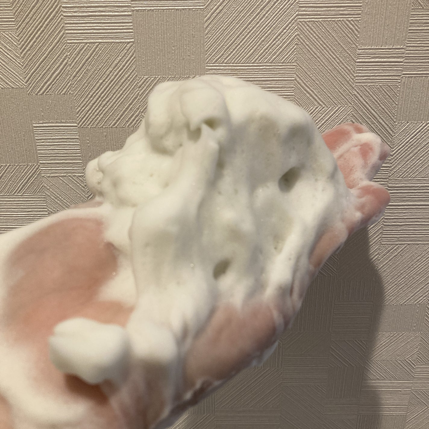 ワフードメイド 宇治抹茶酵素洗顔/pdc/洗顔パウダーを使ったクチコミ(3枚目)