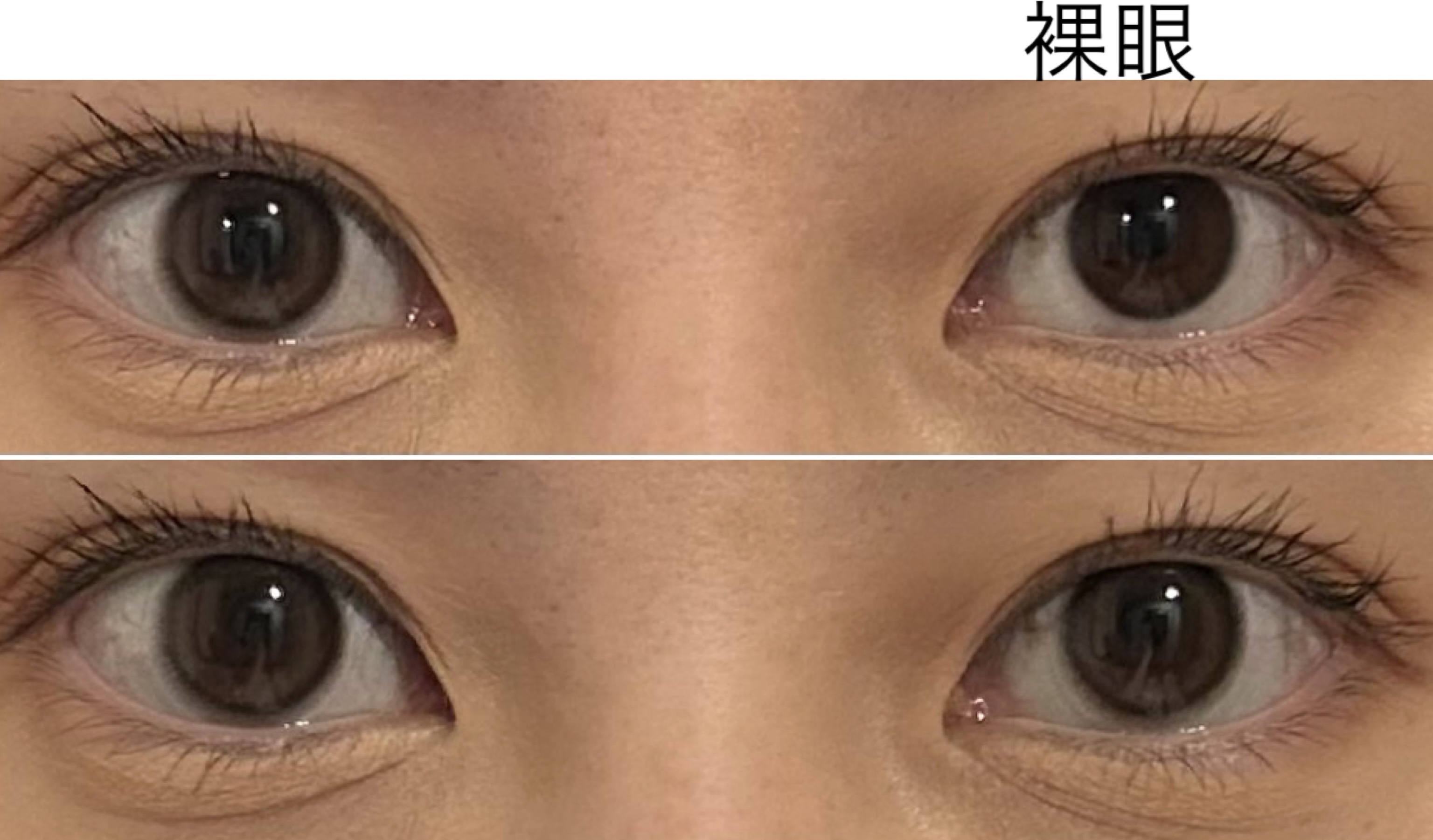 マリナシリーズ	 マリナブラウン/LENSSIS/カラーコンタクトレンズを使ったクチコミ（3枚目）