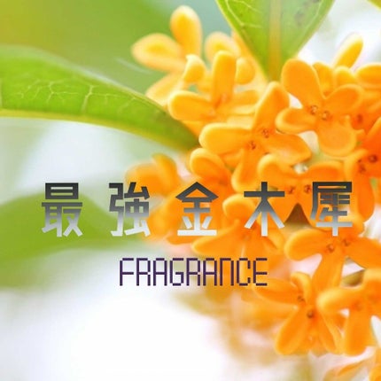 The ORIGINAL PERFUME OIL  /The PERFUME OIL FACTORY/香水(レディース)を使ったクチコミ(1枚目)
