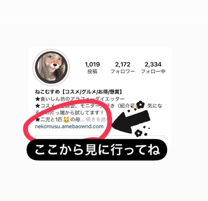 ねこむす on LIPS 「炭酸パック、4年前ぐらいからかなー。実はスペシャルケアとして取..」(10枚目)