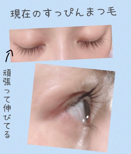 ダブルアップリペアアイラッシュセラム /EYE2IN/まつげ美容液を使ったクチコミ(2枚目)